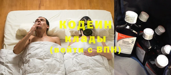 ПСИЛОЦИБИНОВЫЕ ГРИБЫ Алексин