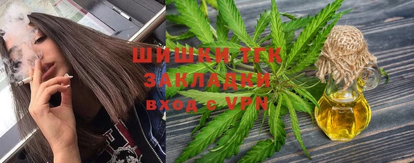 эйфоретик Алзамай