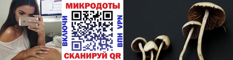Галлюциногенные грибы Cubensis  цена   Мантурово 